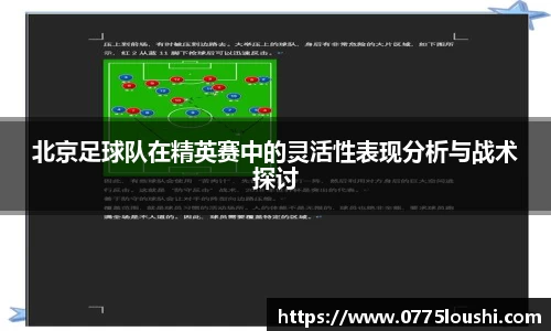 北京足球队在精英赛中的灵活性表现分析与战术探讨