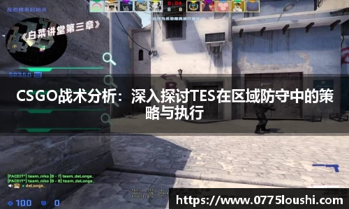 CSGO战术分析：深入探讨TES在区域防守中的策略与执行