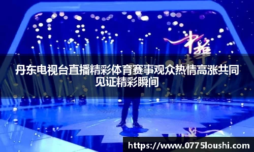 丹东电视台直播精彩体育赛事观众热情高涨共同见证精彩瞬间