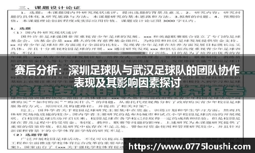 赛后分析：深圳足球队与武汉足球队的团队协作表现及其影响因素探讨