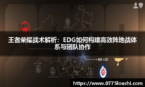 王者荣耀战术解析：EDG如何构建高效阵地战体系与团队协作
