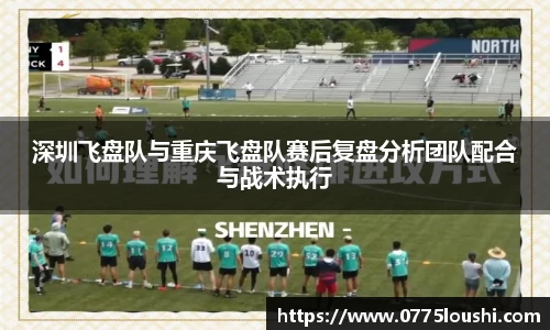 深圳飞盘队与重庆飞盘队赛后复盘分析团队配合与战术执行