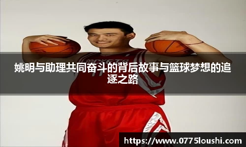 jn江南·体育登录入口