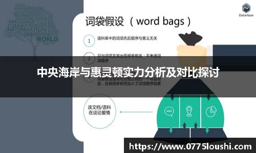 中央海岸与惠灵顿实力分析及对比探讨